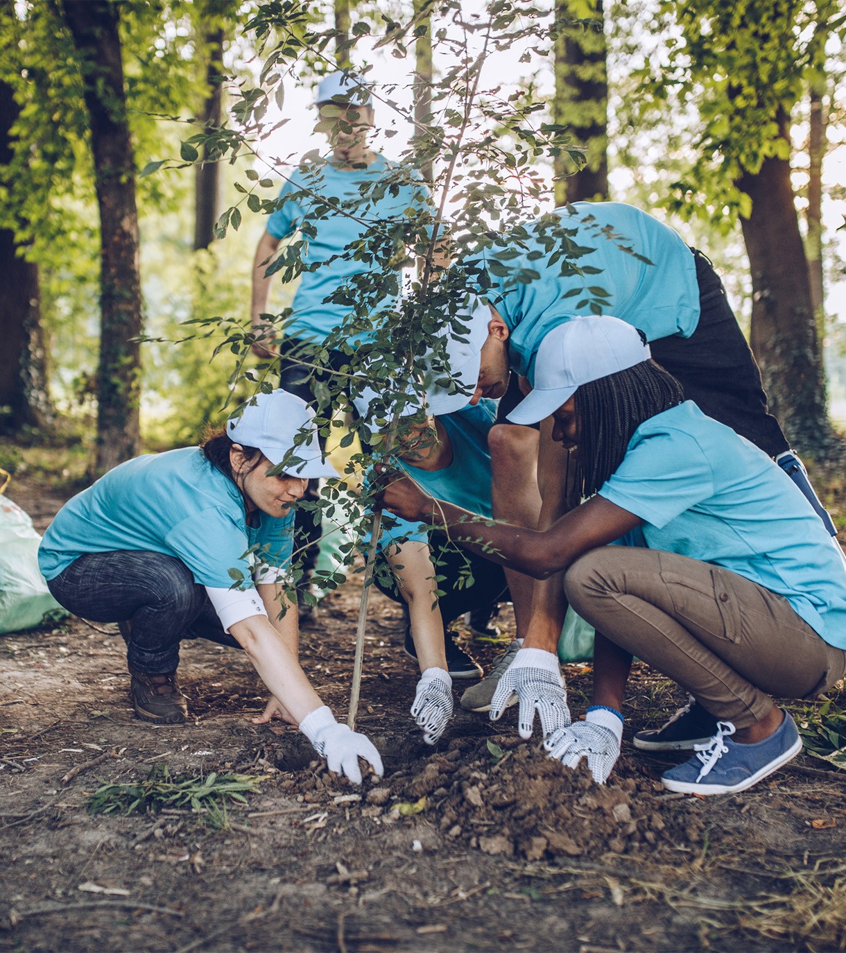 Volunteers Planting Trees